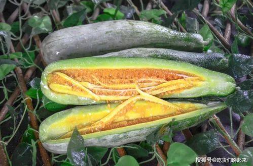 阳春网红吃瓜事件,揭秘网络舆论背后的真相与争议 第2张 阳春网红吃瓜事件,揭秘网络舆论背后的真相与争议 第2张