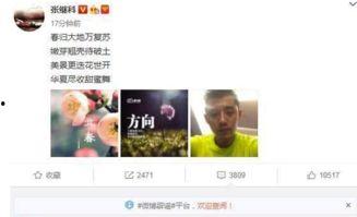 爆料新闻景甜是谁,爆料新闻中的女主角——景甜是谁？  第2张